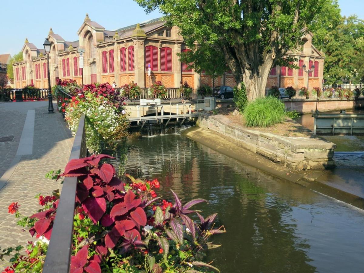 Appartement New ! La Petite Venise Avec Parking Privé *
