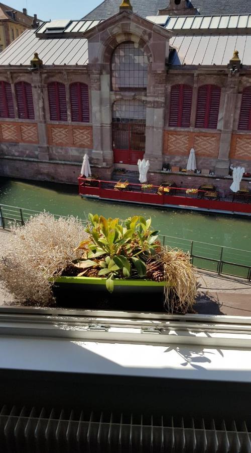 New ! La Petite Venise Avec Parking Privé Appartement