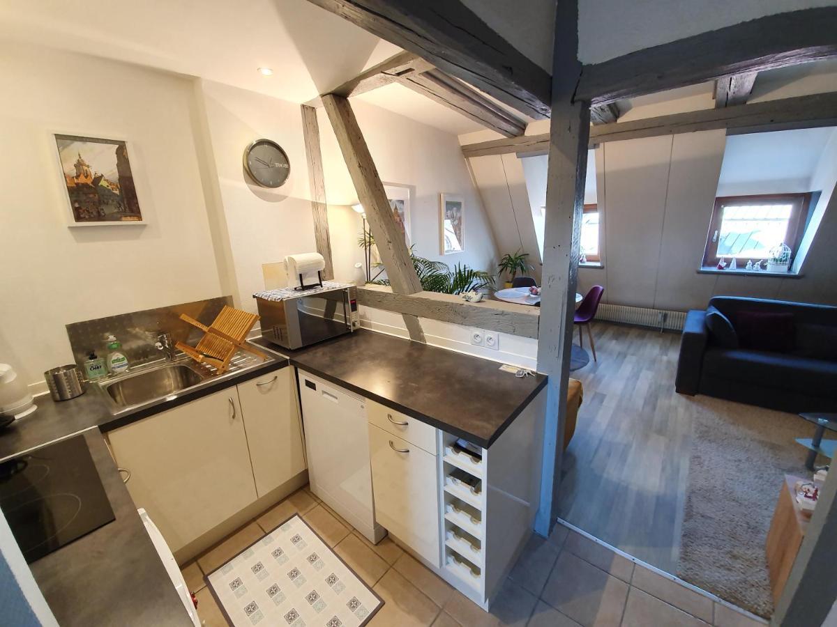 New ! La Petite Venise Avec Parking Privé Appartement *